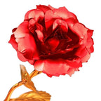 Royal Bloom Forever Rose: A Perfect Gift for your Valentine