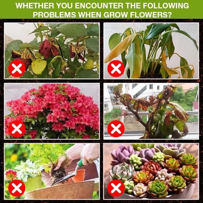 BloomUp™️ Plant Growth Supplement