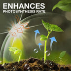 BloomUp™️ Plant Growth Supplement