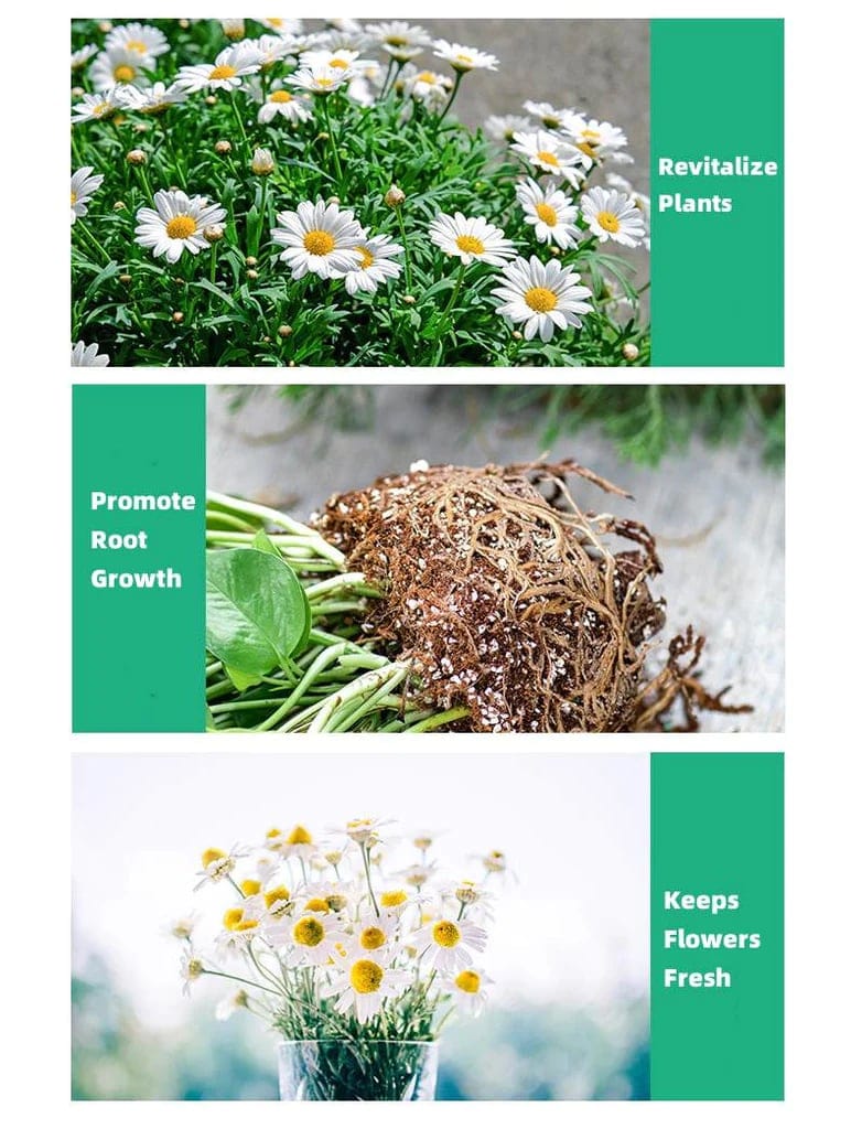 BloomUp™️ Plant Growth Supplement